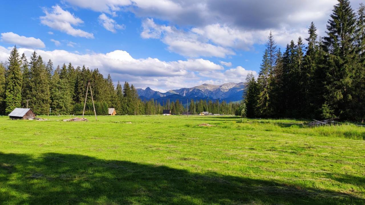 Domek Drewniany Szafran Witów エクステリア 写真